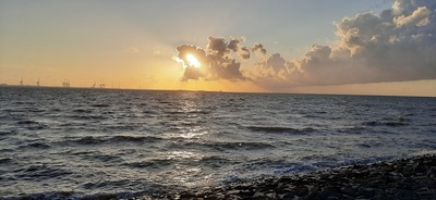 Foto 24 Ferienwohnung Ostfriesland Butjadingen Apart Lachmöwe (Objekt 35481) Urlaub