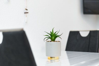 Foto 8 Ferienwohnung Ostfriesland Neuharlingersiel & Umgebung Seekieker - Ebbe (Objekt 77007) Nordsee