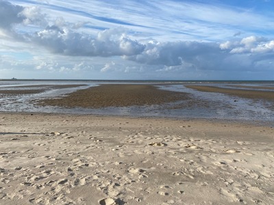 Foto 24 Ferienhaus Ostfriesland Friesland Ferienhaus Fenke (Objekt 59044) Urlaub