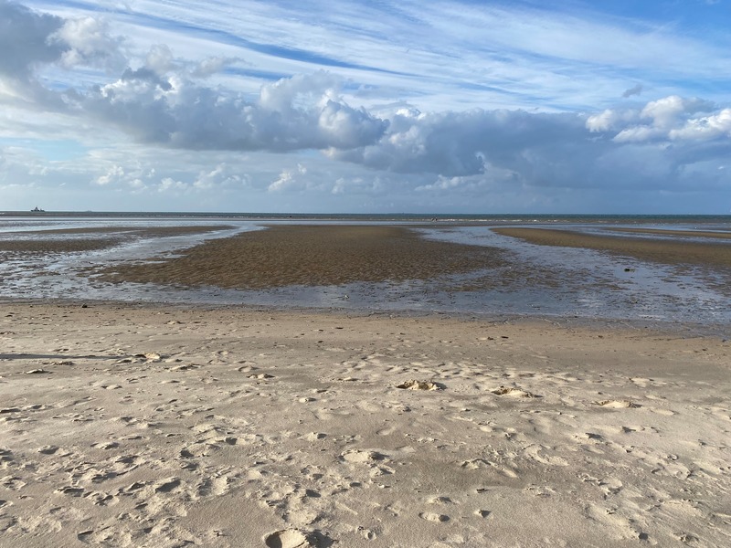 Foto 24 Ferienhaus Ostfriesland Friesland Ferienhaus Fenke (Objekt 59044) Urlaub