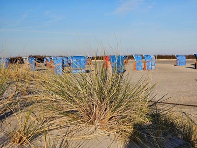 Foto 24 Ferienwohnung Ostfriesland Norddeich & Umgebung Ferienwohnung Meeresrauschen mit Sauna Haustier erlaubt (bald verfügbar) (Objekt 100570) Urlaub