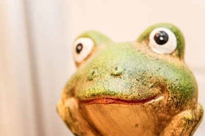 Foto 19 Ferienwohnung Ostfriesland Norddeich & Umgebung Norddeich  Stern (Objekt 88154) Urlaub