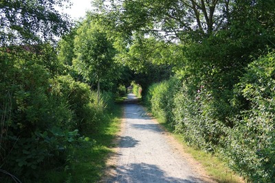 Foto 15 Ferienwohnung Ostfriesland Norddeich & Umgebung Friesenhaus Norddeich (Objekt 88221) Reise