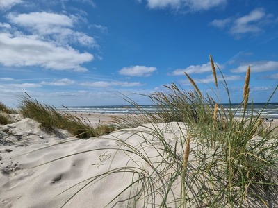 Foto 24 Ferienhaus Ostfriesland Norddeich & Umgebung Ferienhaus Lüttje Uttiet mit eingezäunten Garten (Objekt 75788) Urlaub