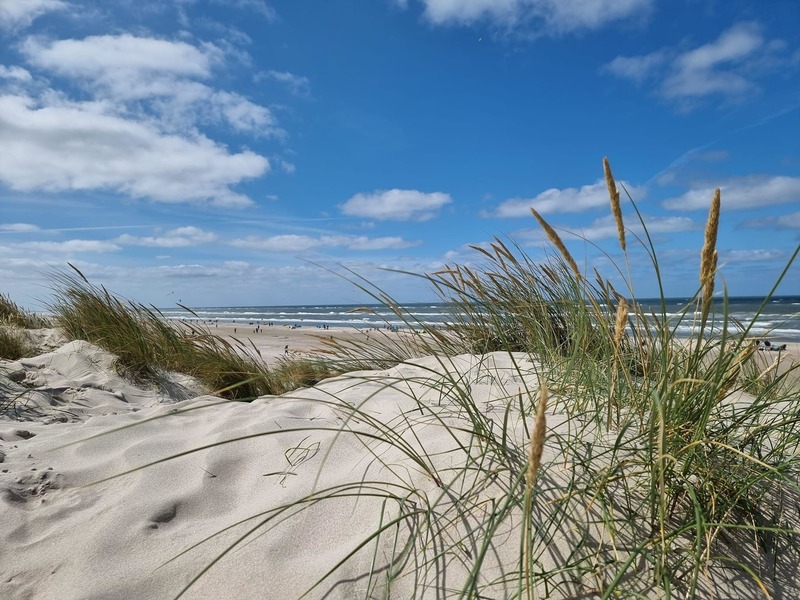 Foto 24 Ferienhaus Ostfriesland Norddeich & Umgebung Ferienhaus Lüttje Uttiet mit eingezäunten Garten (Objekt 75788) Urlaub