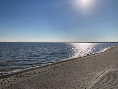 Foto 10 Ferienwohnung Ostfriesland Friesland Wohnung 40 (Objekt 67652) Reise