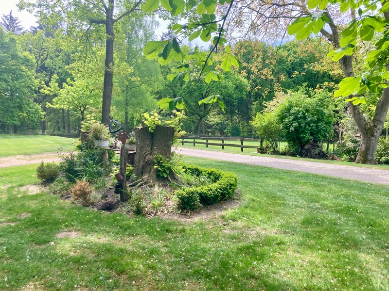 Foto 8 Ferienwohnung Ostfriesland Zwischen Elbe und Weser Fewo WILDGANS by fewo-plan (WING140) Nähe Naturpark Wingst (Objekt 67756) Nordsee