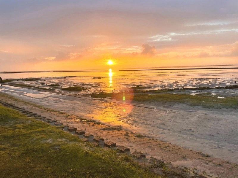 Foto 1 Ferienwohnung Ostfriesland Dornum & Umgebung Ferienwohnung Zwergpinscher (Objekt 85239) buchen