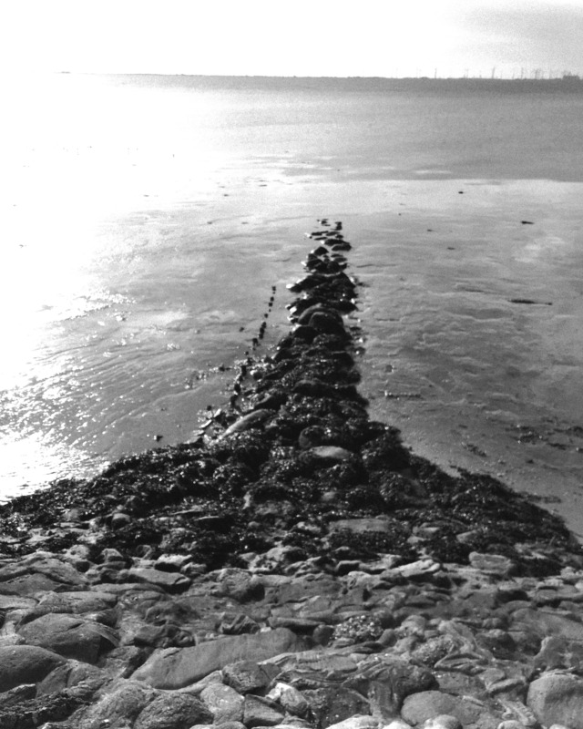 Foto 10 Ferienhaus Ostfriesland Krummhörn & Umgebung Luetje-Huuske (Objekt 92456) Reise