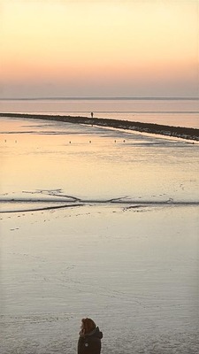 Foto 10 Ferienwohnung Ostfriesland Dornum & Umgebung Ferienwohnung Border Collie (Objekt 85222) Reise