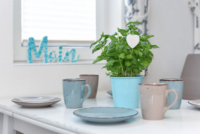 Foto 8 Ferienwohnung Ostfriesland Neuharlingersiel & Umgebung Robbe (Objekt 92446) Nordsee