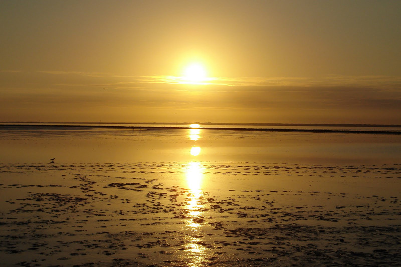 Foto 8 Ferienwohnung Ostfriesland Norddeich & Umgebung Deichnähe - H (Objekt 92422) Nordsee