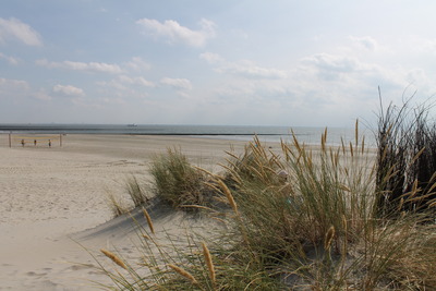 Foto 15 Ferienhaus Ostfriesland Borkum Schilfhuus (Objekt 85237) Reise