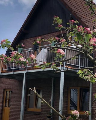 Foto 1 Ferienwohnung Ostfriesland Zwischen Elbe und Weser Ferienwohnung Kalle (Objekt 92358) buchen