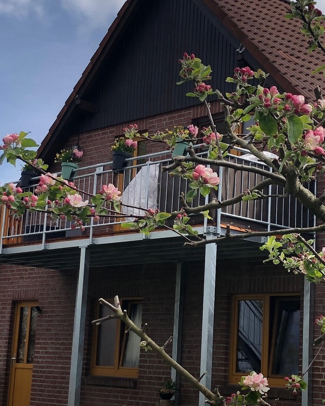 Foto 1 Ferienwohnung Ostfriesland Zwischen Elbe und Weser Ferienwohnung Kalle (Objekt 92358) buchen