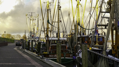 Foto 17 Ferienhaus Ostfriesland Krummhörn & Umgebung Haus Leysand - Ostfriesische Gemütlichkeit (Objekt 85221) suchen