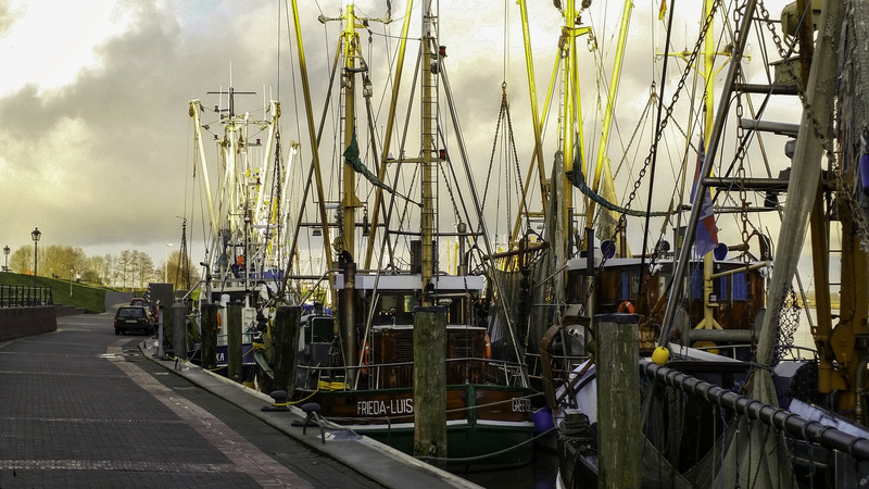 Foto 17 Ferienhaus Ostfriesland Krummhörn & Umgebung Haus Leysand - Ostfriesische Gemütlichkeit (Objekt 85221) suchen