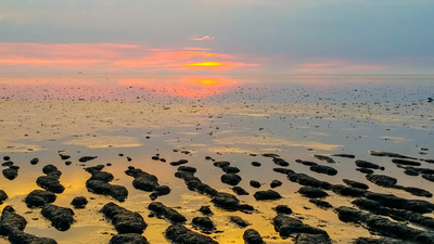 Foto 19 Ferienhaus Ostfriesland Krummhörn & Umgebung Haus Leysand - Ostfriesische Gemütlichkeit (Objekt 85221) Urlaub