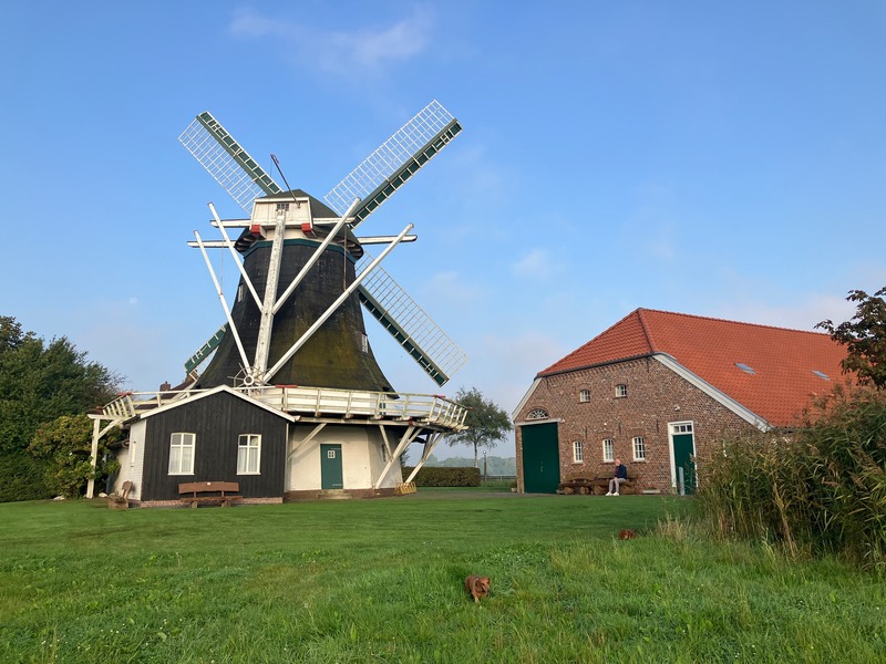 Foto 26 Ferienhaus Ostfriesland Dornum & Umgebung Haus Lüsthuuske (Objekt 85236) buchen