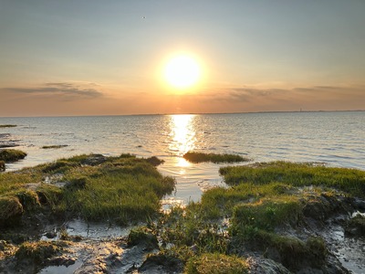 Foto 28 Ferienhaus Ostfriesland Dornum & Umgebung Haus Lüsthuuske (Objekt 85236) Nordsee
