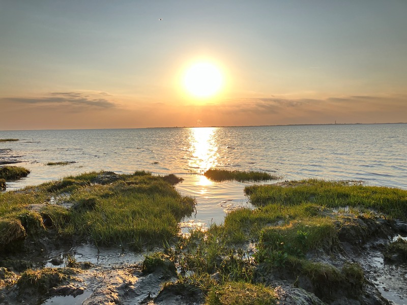 Foto 28 Ferienhaus Ostfriesland Dornum & Umgebung Haus Lüsthuuske (Objekt 85236) Nordsee