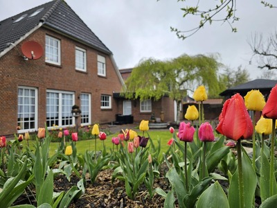 Foto 10 Ferienwohnung Ostfriesland Norddeich & Umgebung Ferienwohnung Düne 1 (Objekt 91883) Reise