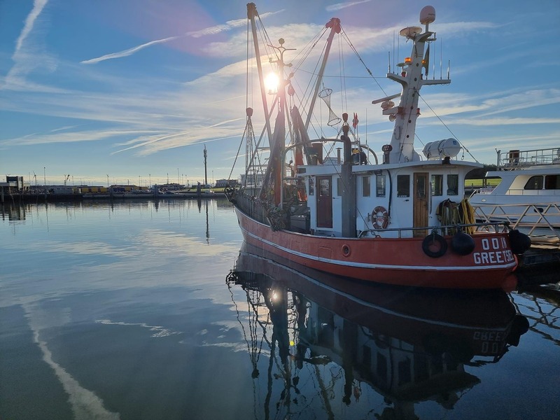 Foto 24 Ferienwohnung Ostfriesland Norddeich & Umgebung Ferienwohnung Düne 1 (Objekt 91883) Urlaub