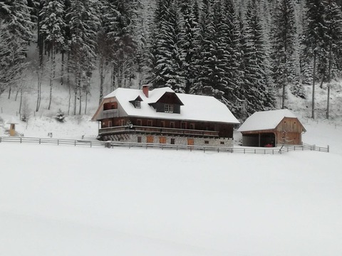 Almhütte Kuhgraben 1