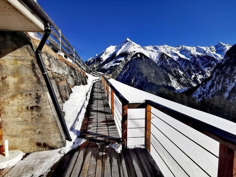 Alpennestl 1