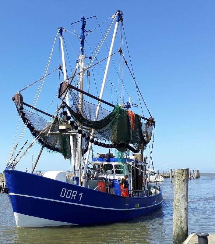 Foto 17 Ferienhaus Ostfriesland Zwischen Elbe und Weser Albatros-Herber (Objekt 85233) suchen