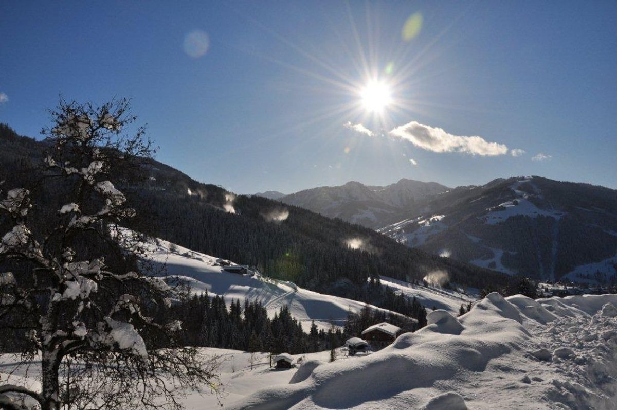 Chalet Naturblick am ZwisleggGut – Bild 6