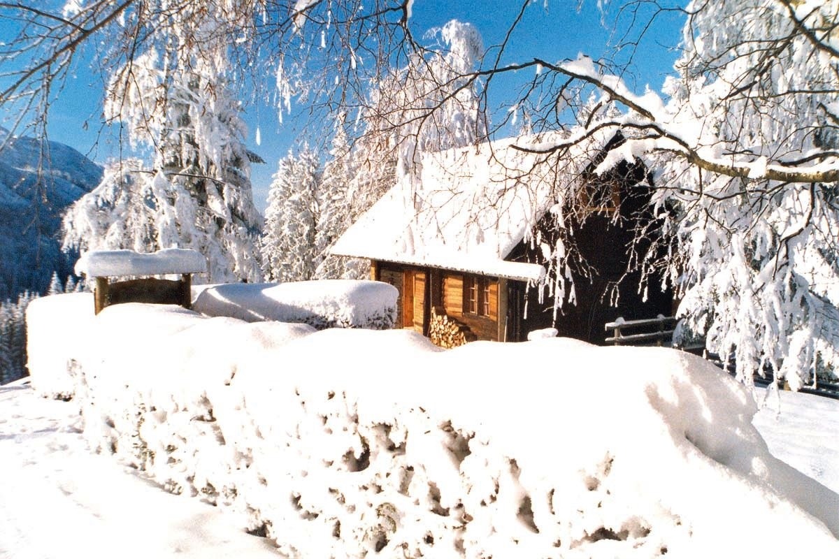 Ferienhütte Windlegern