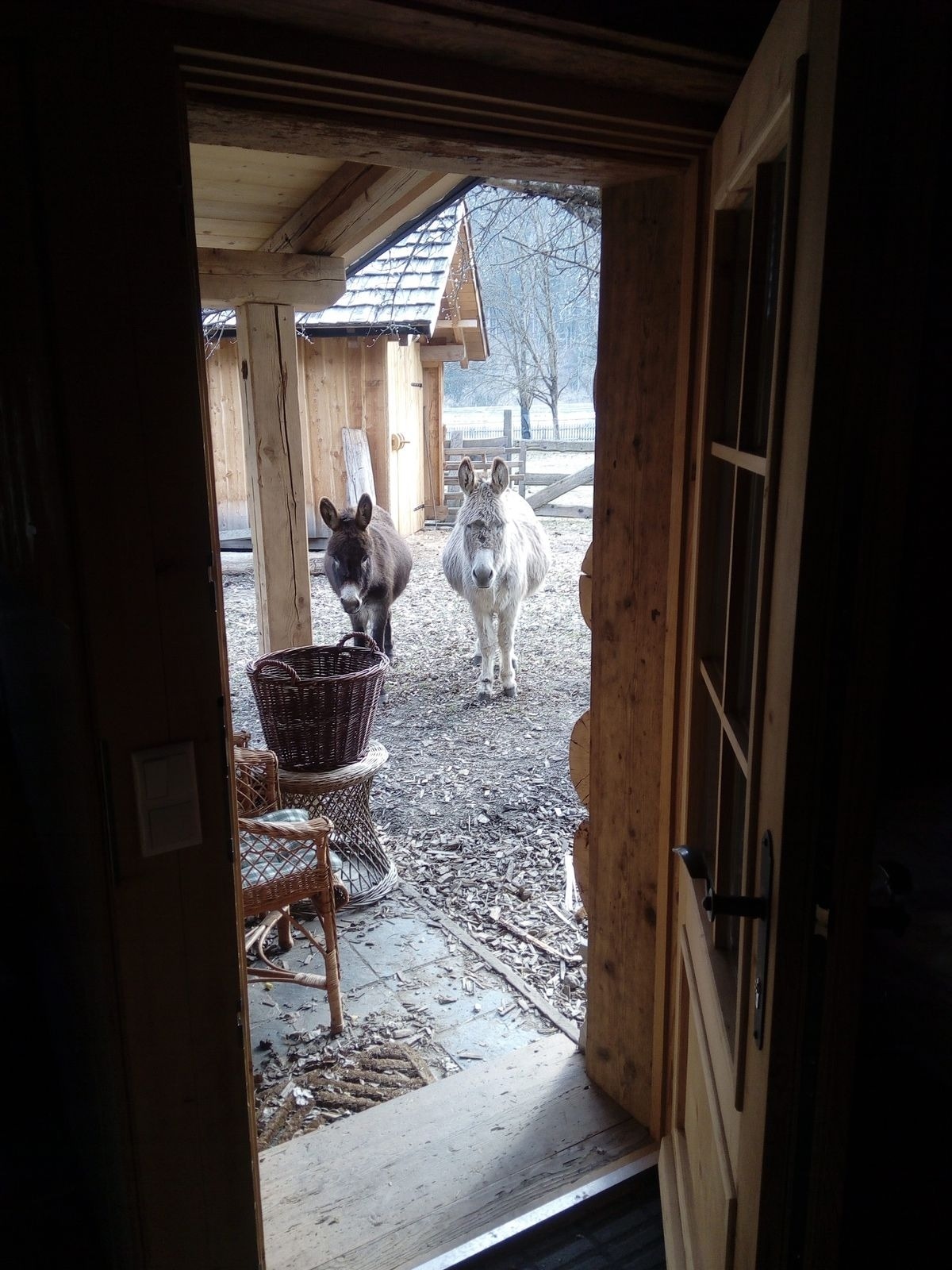 Heidi Hütte — Foto 6