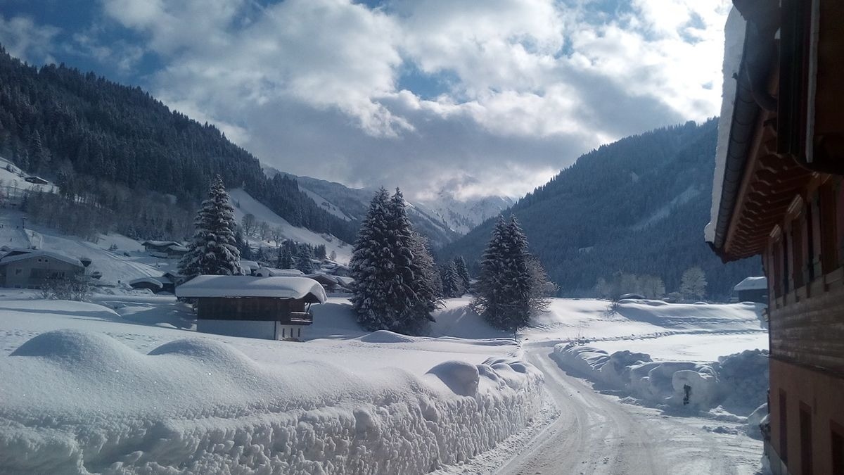 Hochlandhäusl — Foto 6