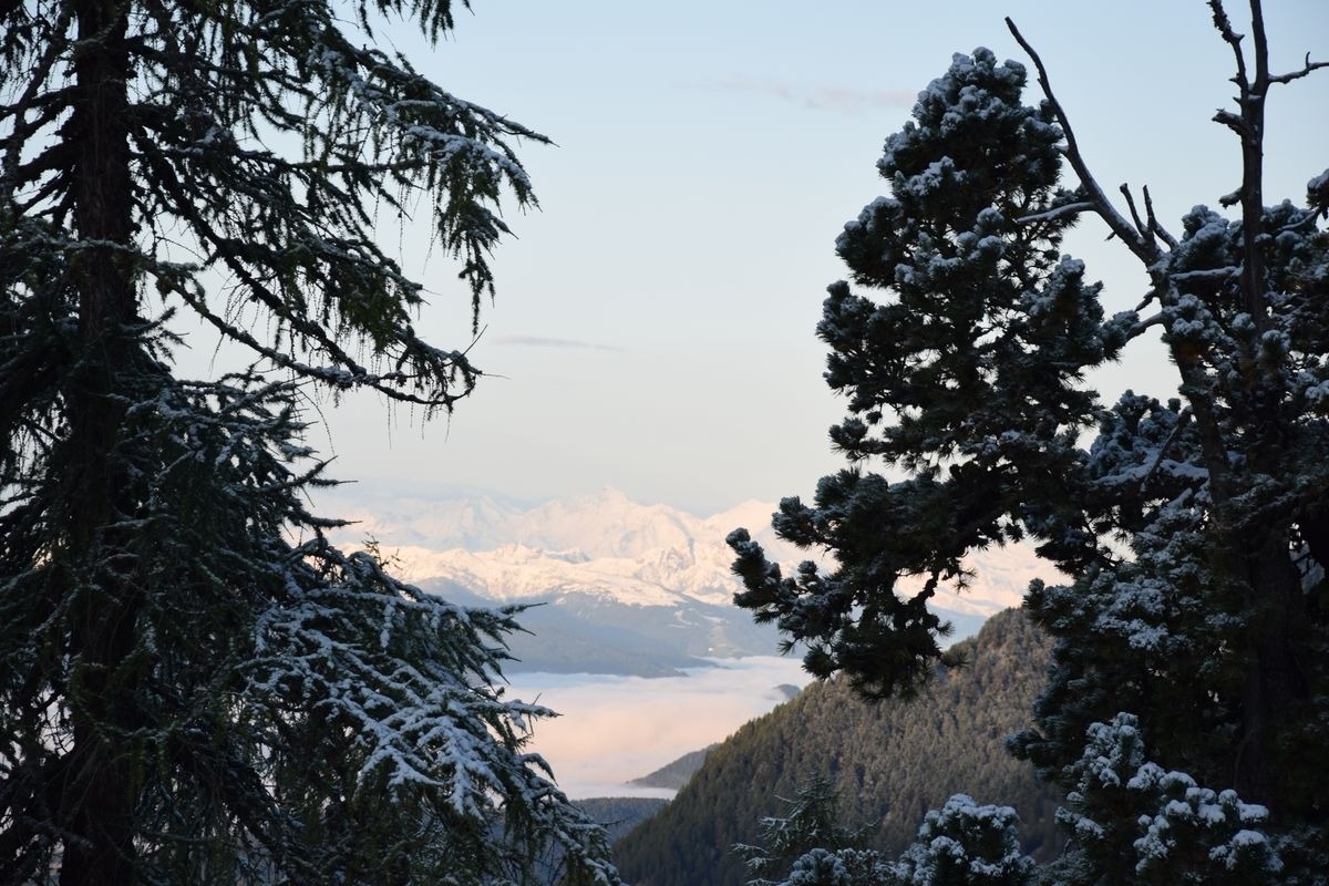 Holzknechthütte — Foto 6