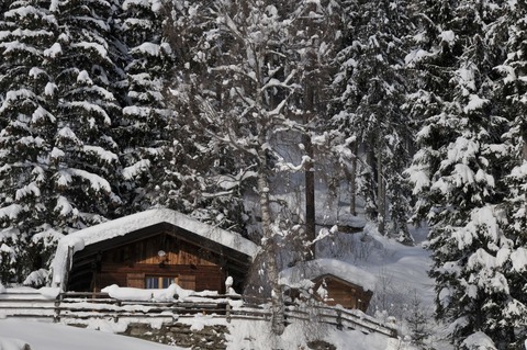 Jägerhütte 1