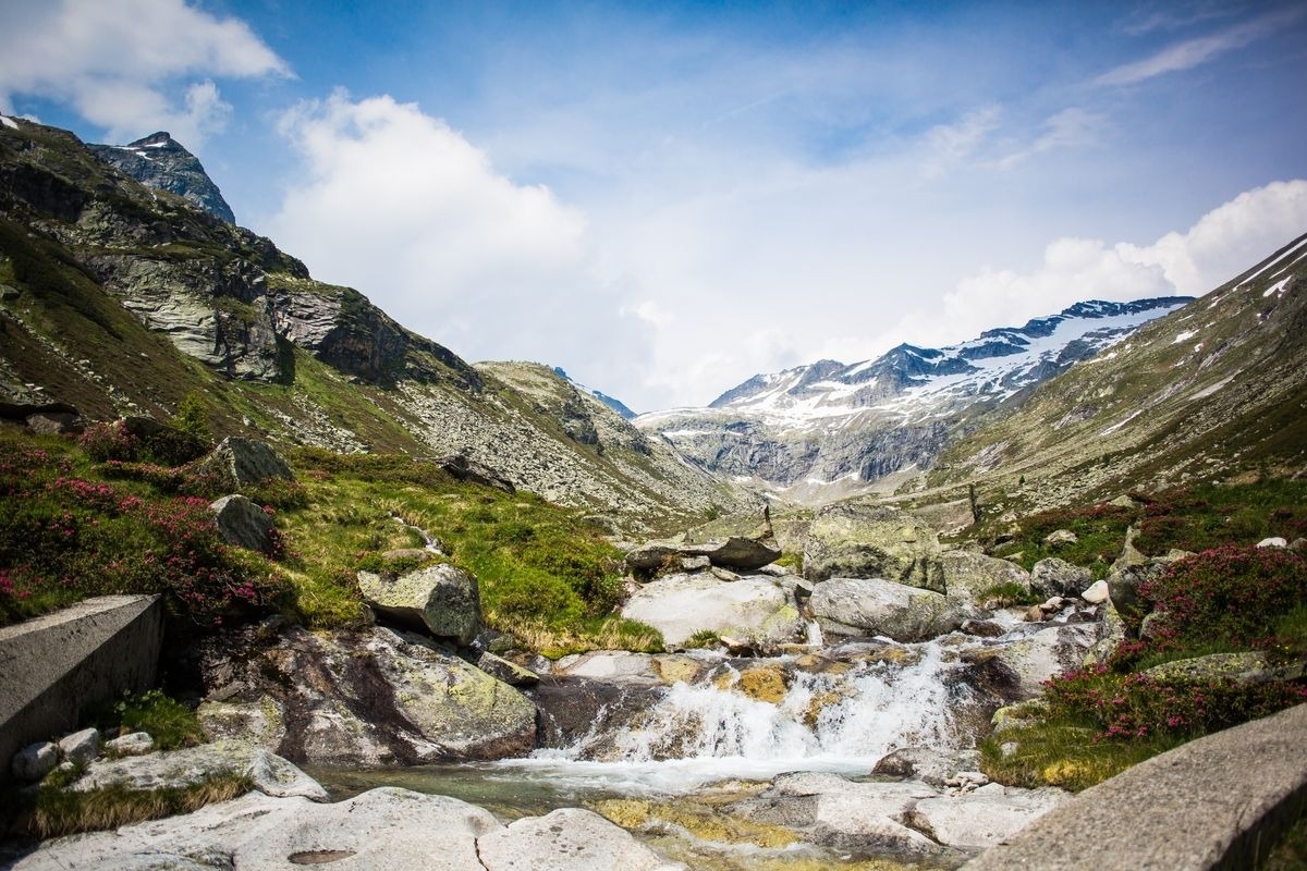 Landeckalm – Bild 6