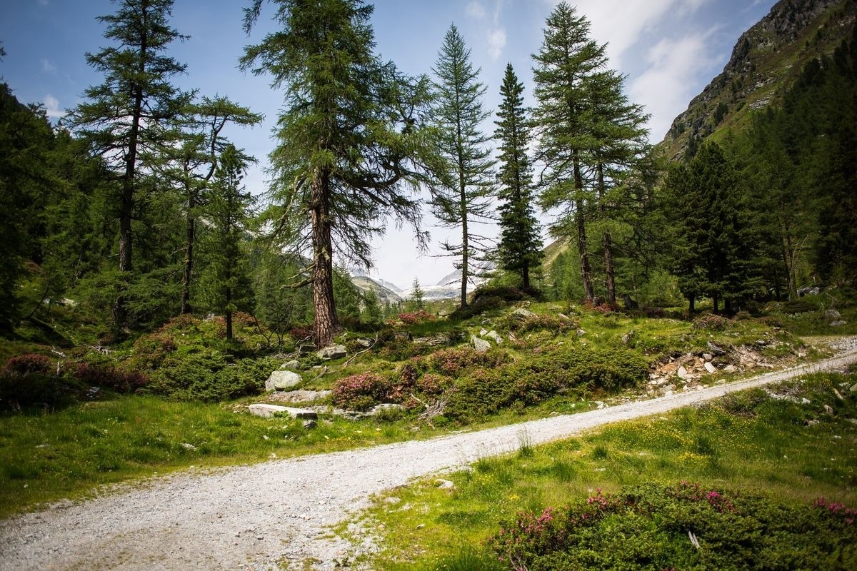 Landeckalm – Bild 8