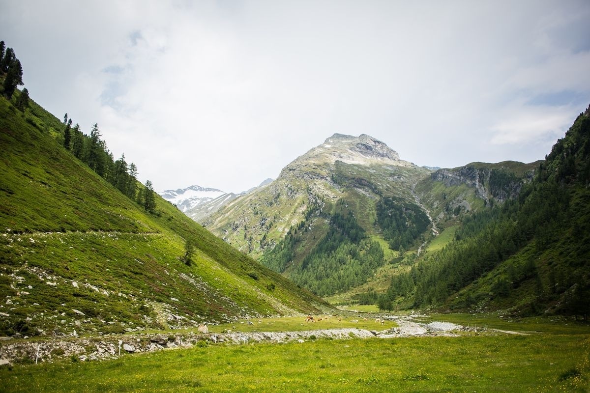 Landeckalm – Bild 24