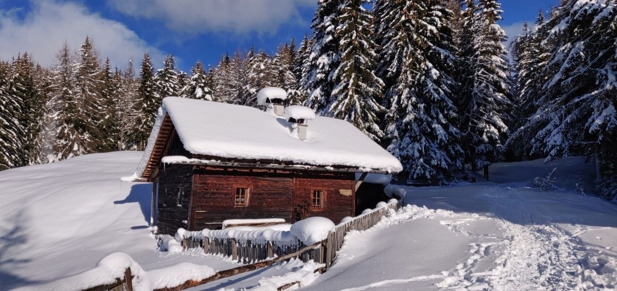 Reh's Wiesen Hütte – Bild 1