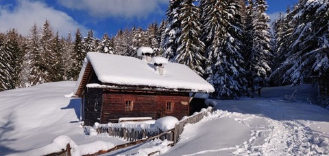 Reh's Wiesen Hütte 1