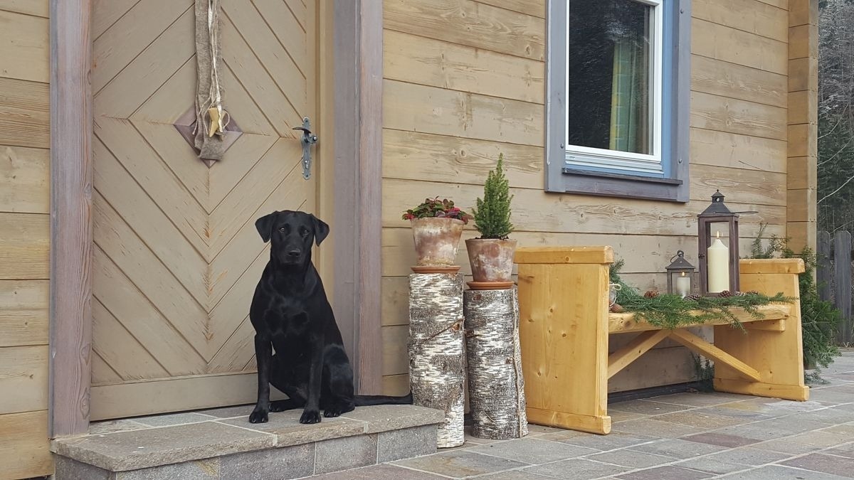 Rengerberg Hütte — Foto 6