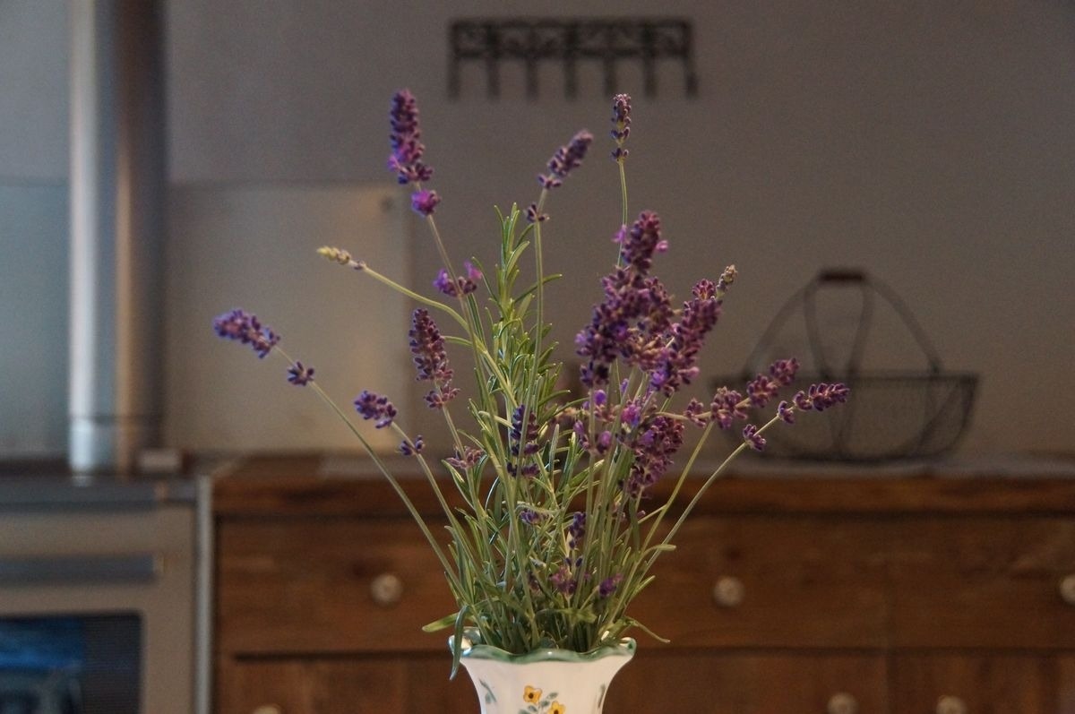 Tröglesalm — Foto 6