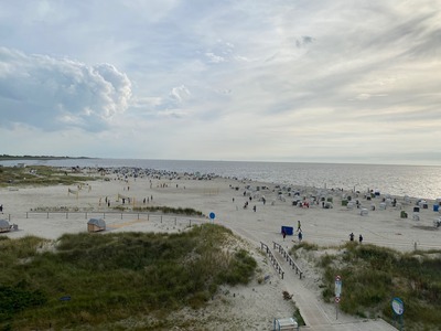 Foto 24 Ferienwohnung Ostfriesland Norddeich & Umgebung Ferienhaus Ankerweg an der Seehundstation Typ E (Objekt 92435) Urlaub