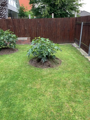 Foto 24 Ferienwohnung Ostfriesland Norddeich & Umgebung Ferienhaus Ankerweg an der Seehundstation Typ A (Objekt 92440) Urlaub