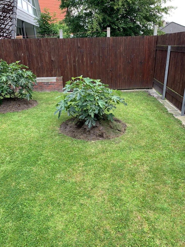 Foto 24 Ferienwohnung Ostfriesland Norddeich & Umgebung Ferienhaus Ankerweg an der Seehundstation Typ A (Objekt 92440) Urlaub