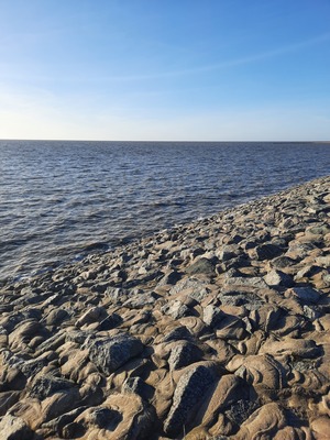 Foto 10 Ferienhaus Ostfriesland Krummhörn & Umgebung Grietjes Huus (Objekt 92324) Reise