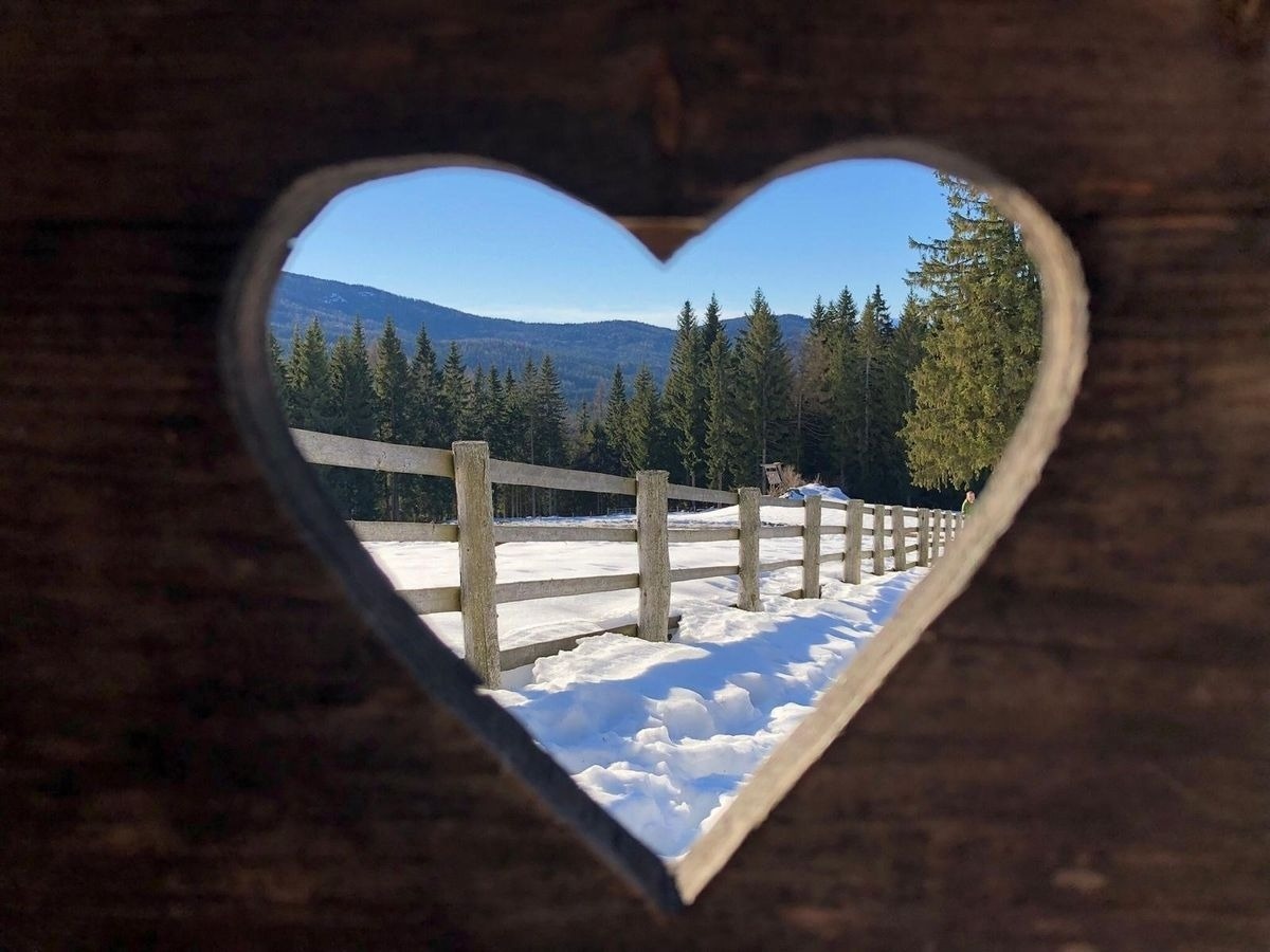 Gregor Peter Hütte — Foto 6