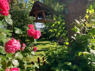 Foto 17 Ferienwohnung Ostfriesland Dornum & Umgebung Ferienwohnung Nordnest (Objekt 85244) suchen