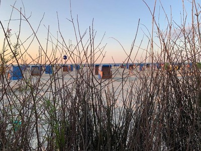 Foto 19 Ferienwohnung Ostfriesland Dornum & Umgebung Ostfresenstuv (Objekt 92351) Urlaub